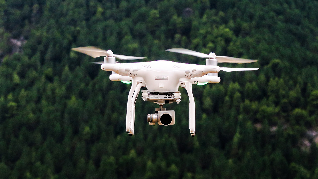 unsplash Drohne Wald