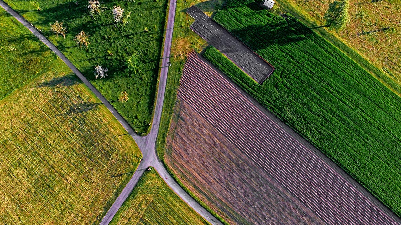 unsplash Acker Feld Vogelperspektive
