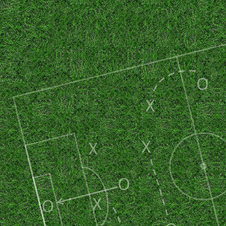 pixabay-annca-rush-1335365-720x720-quadrat