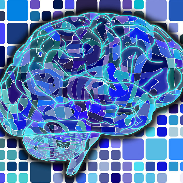 pixabay geralt Gehirn Surreal