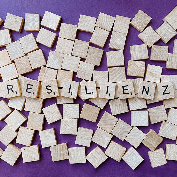 Pixabay-Wokandapix-4899506-Resilienz-Belastbar-720x720-quadrat